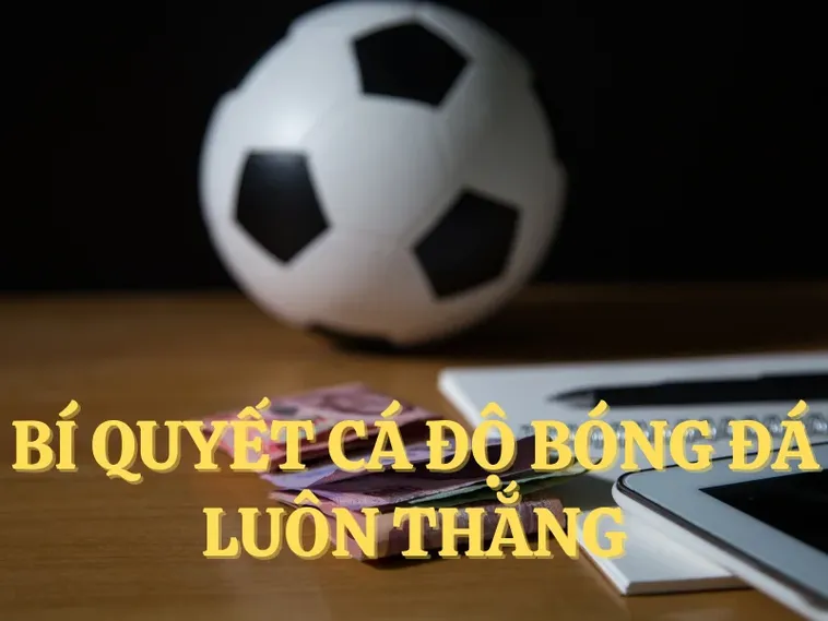 Tìm Hiểu Cá Cược Bóng Đá FB68: Hành Trang Cho Người Chơi Mới
