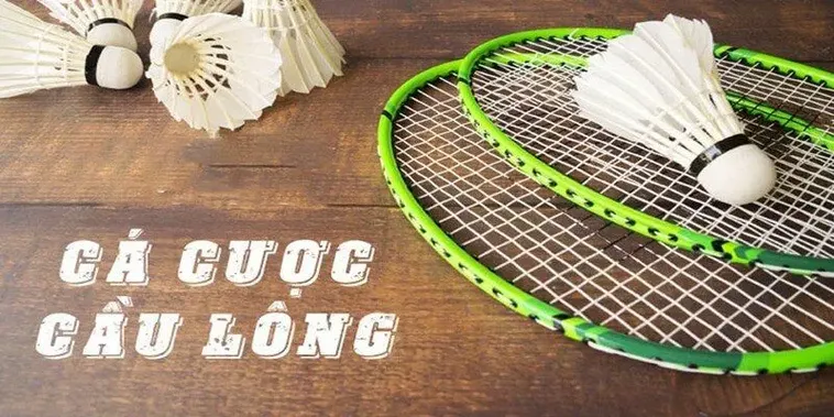 Hướng Dẫn Cách Chơi Cá Cược Cầu Lông Tại FB68 Thành Công