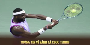 Tìm Hiểu Cá Cược Quần Vợt FB68: Hành Trang Cho Người Mới