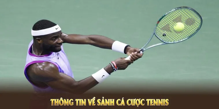Tìm Hiểu Cá Cược Quần Vợt FB68: Hành Trang Cho Người Mới